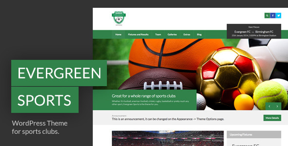 evergreen sports wordpress theme